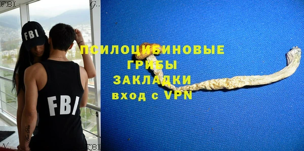 хмурый Верхний Тагил