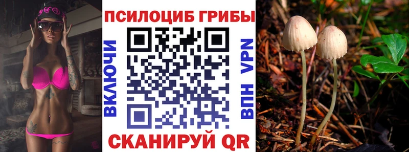 Купить  Приозерск  Галлюциногенные грибы мицелий 