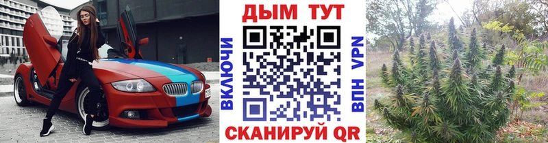Купить закладки  Приозерск  Марихуана марихуана 